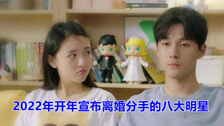 2022年开年宣布离婚分手的八大明星,谁最让人惋惜?