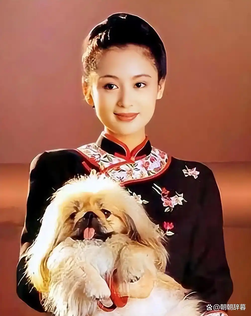 景甜郭晶晶刘亦菲朱珠许晴陈红_旺夫面相的女明星_天生富贵相女星